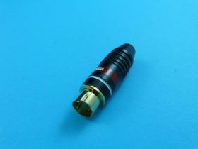 WT.SVHS VITALCO ZŁOTY