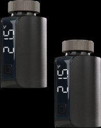 2X 158419A0 Heizkörperthermostat - Evo, anthrazit, 2 Stück