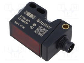 BAUMER-11199039
