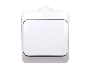 Cedar Plus Łącznik hermetyczny natynkowy jednobiegunowy 16AX IP44 biały WNt-100YF WDE000510