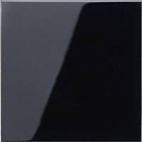 Jung 1 x Zaślepka Przełącznik schodowy czarny LS990SW 1 szt.