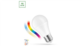 Led Gls 13W E-27 230V Rgbw+Cct+Dim Wi-Fi/Bt Spectrum Smart