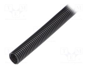 LP-61746965