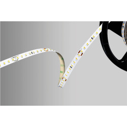 Barthelme 51542233 LED Strip 24V 5m White CRI&gt;90 High Brightness