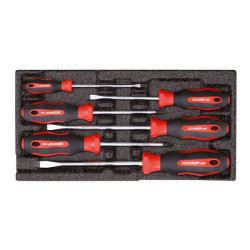 Gedore RED 3301713 Screwdriver Set in 2/6 CT module, 6 Pieces PZ&#x2B;SL