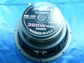 PRO-1040A 4 OM 10' 320W PROFESIONAL