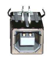 Gniazdo USB G-USBB/DRUK