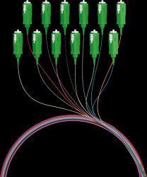 FTTH-PIGTAIL-SCA12 Fibre pigtail SC/APC, 12 pigtails, OS2, G657A2, 2 m