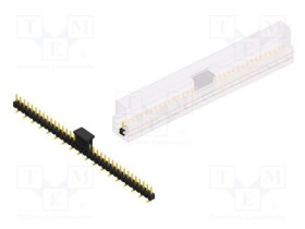 SL10SMD04036.GBSM