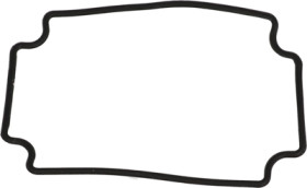 Seal, silicone, (L x W x D) 60 x 35 mm x 22 mm, black, for series 1551W, 1551WHGASKET