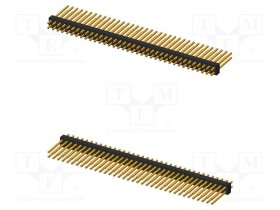 IGN-28078