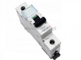25A wyłącznik bezp. siec. szybki CLS6-B25 1P