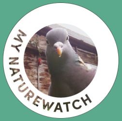 My Naturewatch Wildlife Camera