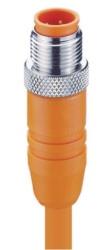 RSTS 8-184/2 M og, PVC 8x0,25mm2 + ekran podłączony do nakrętki, pomarańczowy, z wtykiem prostym M12x1, LUMBERG 12099, RSTS81842