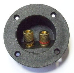 Terminal głośnikowy 2 pinowy, bananowy