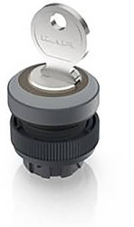 RAFI 1.30.245.001/0800 RAFIX 22 QR Przełącznik kluczykowy 1 x 40 ° 1 szt.