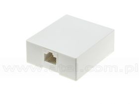 Puszka natynkowa PN1-8 ze złączem żeńskim 8p8c (standard)