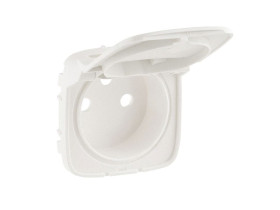 VALENA ALLURE Plakietka perłowa gniazda z klapką 754869 LEGRAND