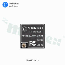 AI-WB2-M1-1