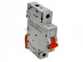 6A wyłącznik bezp. siec. zwłoczny S301-C06; AEG