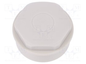 LP-52020563