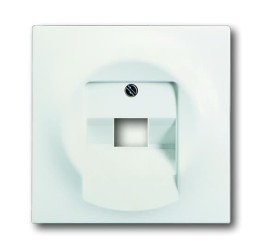 Płytka czołowa, RJ45, Biały