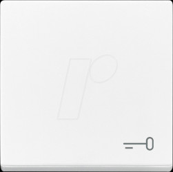 2520 TR-84 Wippe mit Aufdruck Schlüssel