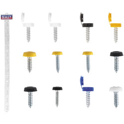 Sealey NPSSET Clip Strip Deal - Mixed Numberplate Screws