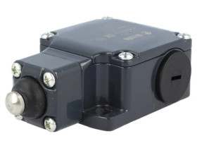 FL510 Wyłącznik krańcowy gumowe uszczelnienie,trzpień Ø10mm 10A