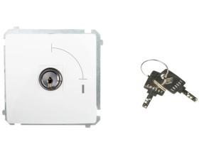 Simon Basic Łącznik jednobiegunowy z kluczem dwupozycyjnym biały BMW1K.01/11