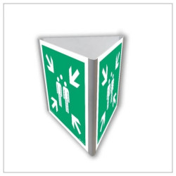 ZNAK - AE807 Miejsce zbiórki do ewakuacji (3D dościenny) 25 x 25 cm PN - Płyta 1mm