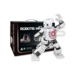 ROBOTIS MINI
