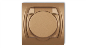 Logo Gniazdo Bryzgoszczelne Z/U (Klapka Złoty Metalik) Złoty Metalik 8Lgpb-1Zp