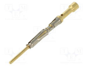 MP24W23F