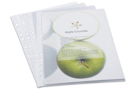 Folder z materiałami informacyjnymi, Bezbarwny, Polypropylene