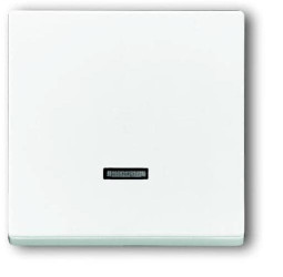 Busch-Jaeger 6543-84-101 2CKA006599A2834 Moduł wejściowy brak biały, biały 1 szt.