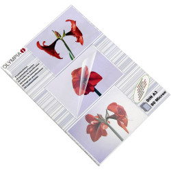 Olympia9174 Laminate sheet A3 80 micron 50 pieces