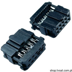 1658621-1 Socket 2 x5 Pin to Wire BLOCK AMP