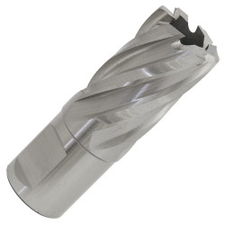 Worksafe RBHSS20S Rotabor Cutter HSS &#xD8;20mm - Cut Depth 25mm