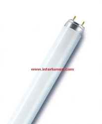 18W/840 L» 590 G13 T8 Philips 1718 TL-D Master