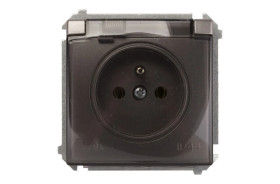 Simon Basic Gniazdo bryzgoszczelne z/u IP44 z klapką dymną stal inox BMGZ1B.01/21a