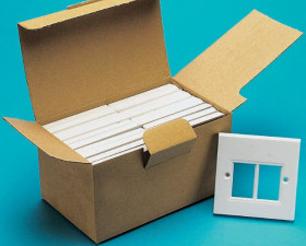 Płytka naścienna, l. otworów: 2, RJ45