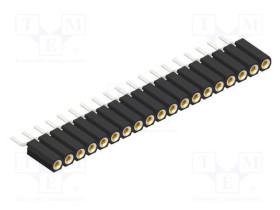 BL17SMD19