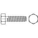 TOOLCRAFT 144623 Blachowkręty z łbem sześciokątnym 4.8 mm 25 mm Nasadowa DIN 7976 stal cynkowany galwanicznie 500 szt.
