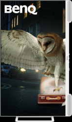 9H.LN4LJ.LBE 81-cm monitor, 2160p, 60 Hz, speakers, pivot