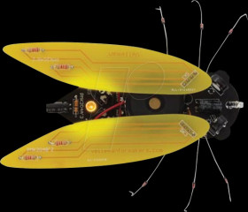 WSAK204 Soldering kit: Electronic Circada