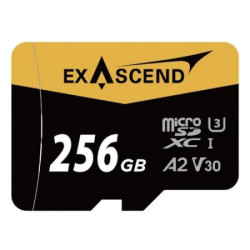 Karta Micro SD MicroSDXC, 256 GB, Exascend Catalyst