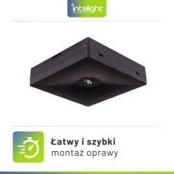 Oprawa awaryjna natynkowa STARLET QUAD SO 150 NM 1H MT BLK / 92996