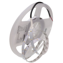 3014-42-24 Taśma 210 led 3014 42led/m 24V BIAŁA ZIMNA