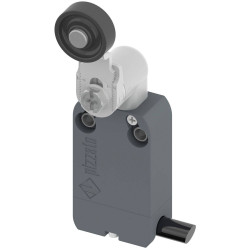 Pizzato NF B112KG-DN2 Limit Switch 250V AC 4A Pivot Lever Momentary IP67